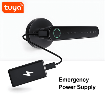 Smart Fingerprint Door Lock with Password & App Control