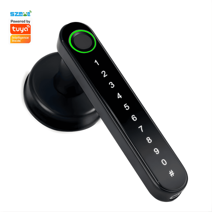 Smart Fingerprint Door Lock with Password & App Control